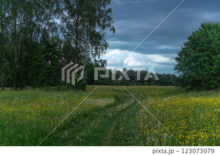 Walking path through a meadow of blooming dandelion meadow in Latvia, Gauja National Park Walking path through a meadow of blooming dandelion meadow in Latvia, Gauja National Park 123073079