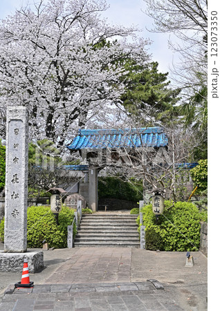 中山道高崎宿散歩：曹洞宗　長松寺　高崎市赤坂町 123073350