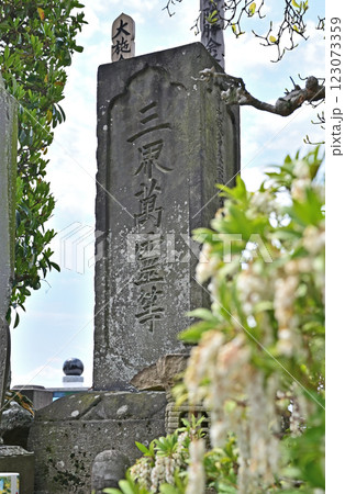 中山道高崎宿散歩:曹洞宗 長松寺 高崎市赤坂町 中山道高崎宿散歩:曹洞宗 長松寺 高崎市赤坂町 123073359