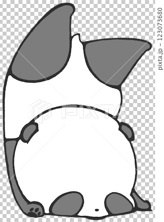 Baby panda falls over and ends up upside down Baby panda falls over and ends up upside down 123073680