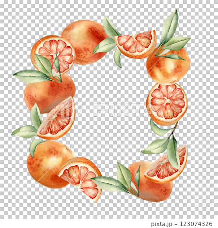 Watercolor frame of grapefruits and citrus segments, leaves isolated background. Square border with foliage and red orange fruits. Ripe fruits template with copy space for bright summer card, label. Watercolor frame of grapefruits and citrus segments, leaves isolated background. Square border with foliage and red orange fruits. Ripe fruits template with copy space for bright summer card, label. 123074326