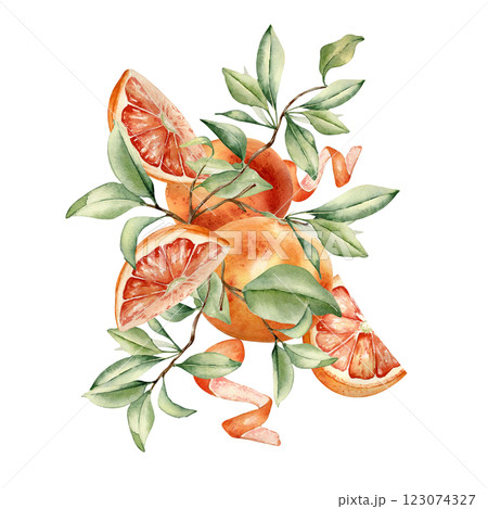 Grapefruit tree foliage and citrus fruits watercolor illustration isolated background. Bright summer composition hand drawn with sliced red orange ripe, leaves for packaging, label aroma product. Grapefruit tree foliage and citrus fruits watercolor illustration isolated background. Bright summer composition hand drawn with sliced red orange ripe, leaves for packaging, label aroma product. 123074327