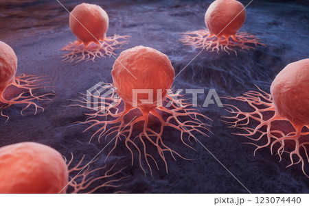 立体 3次元 3D 123074440