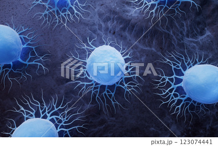 立体 3次元 3D 123074441