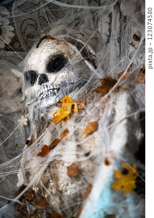 Skeleton decoration Halloween wrapped in spider web and tissue lying in a coffin Skeleton decoration Halloween wrapped in spider web and tissue lying in a coffin 123074580