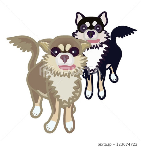 チワワのイラスト チワワのイラスト 123074722