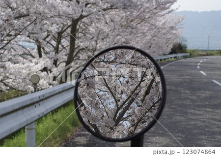 桜の下のバイク 桜の下のバイク 123074864