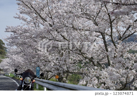 桜の下のバイク 桜の下のバイク 123074871