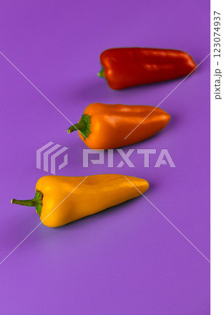 Vibrant Assortment of Sweet Bell Peppers Displayed Against a Rich Purple Backdrop, Showcasing Their Bright Colors and Freshness, Ideal for Culinary Creations and Healthful Eating Vibrant Assortment of Sweet Bell Peppers Displayed Against a Rich Purple Backdrop, Showcasing Their Bright Colors and Freshness, Ideal for Culinary Creations and Healthful Eating 123074937