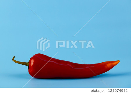 Vibrant Red Chili Pepper on a Bright Blue Background A Deliciously Spicy Addition to Your Culinary Adventures and Creative Cooking Projects 123074952