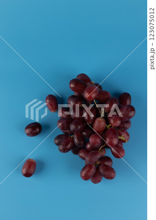 Vibrantly Fresh Red Grapes on a Bright Blue Background, Highlighting Their Juicy Texture and Natural Shine, Perfect for Healthy Snacking or Delicious Smoothies with Rich Flavor Vibrantly Fresh Red Grapes on a Bright Blue Background, Highlighting Their Juicy Texture and Natural Shine, Perfect for Healthy Snacking or Delicious Smoothies with Rich Flavor 123075012