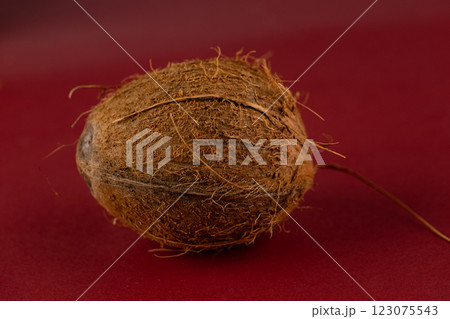 Unique Close-Up of a Natural Brown Seed with Fibrous Texture Set Against a Solid Red Background Highlighting Its Distinctive Features and Organic Appeal Unique Close-Up of a Natural Brown Seed with Fibrous Texture Set Against a Solid Red Background Highlighting Its Distinctive Features and Organic Appeal 123075543