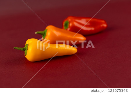 A Vibrant Display of Miniature Peppers: Yellow, Orange, and Red Varieties on a Deep Red Background 123075548