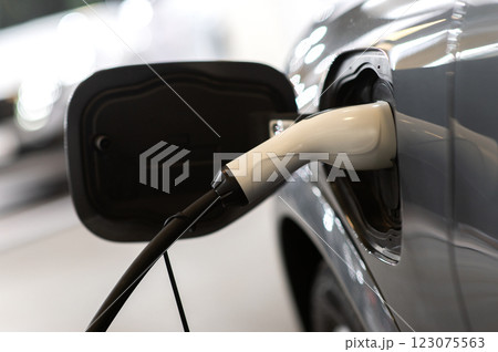 Closeup of power supply plugged into an modern electric car. Electric or EV car charging station. Closeup of power supply plugged into an modern electric car. Electric or EV car charging station. 123075563