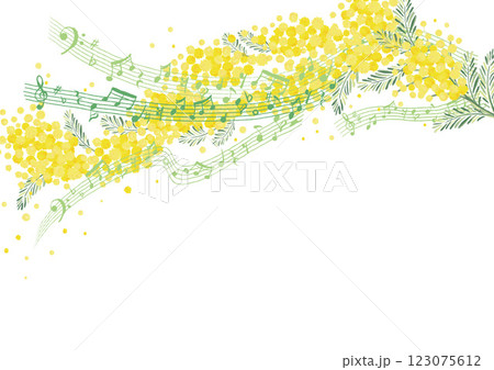 ミモザアカシアと音楽の背景　ベクター　音符　五線譜　発表会　演奏会　吹奏楽　花柄　春 123075612
