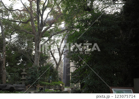 250127_004靖国神社 123075714