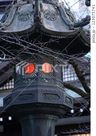 250127_031靖国神社 123075741