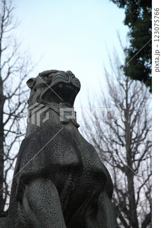 250127_054靖国神社 123075766