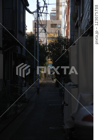 250129_011都市風景 123075788