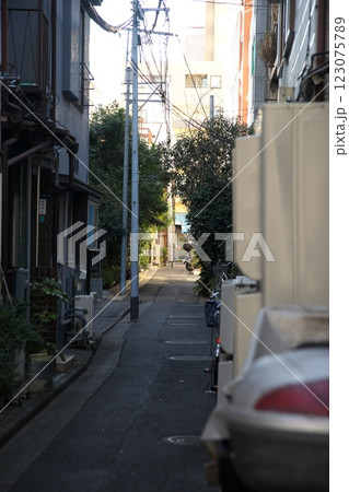 250129_012都市風景 123075789