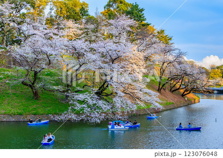 東京 千代田区 千鳥ヶ淵緑道の桜 東京 千代田区 千鳥ヶ淵緑道の桜 123076048