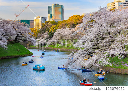 東京 千代田区 千鳥ヶ淵緑道の桜 東京 千代田区 千鳥ヶ淵緑道の桜 123076052