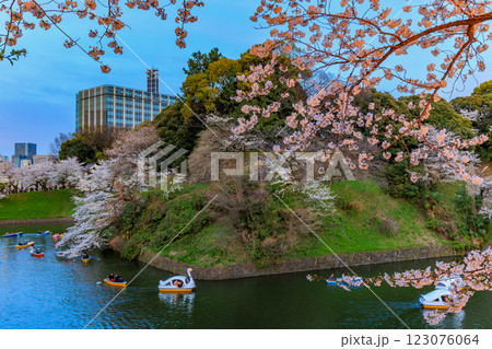 東京　千代田区　千鳥ヶ淵緑道の桜 123076064