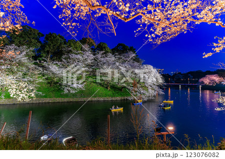 東京　千代田区　千鳥ヶ淵緑道の桜 123076082