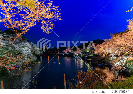 東京 千代田区 千鳥ヶ淵緑道の桜 東京 千代田区 千鳥ヶ淵緑道の桜 123076084