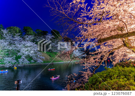東京　千代田区　千鳥ヶ淵緑道の桜 123076087