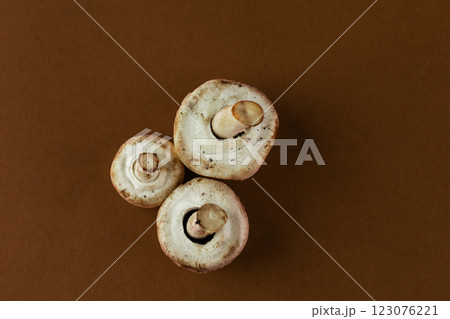 Delightful Trio of Fresh Mushrooms on a Rustic Brown Background Perfect for Culinary Inspiration and Gourmet Cooking Creativity and Healthy Eating Habits Delightful Trio of Fresh Mushrooms on a Rustic Brown Background Perfect for Culinary Inspiration and Gourmet Cooking Creativity and Healthy Eating Habits 123076221