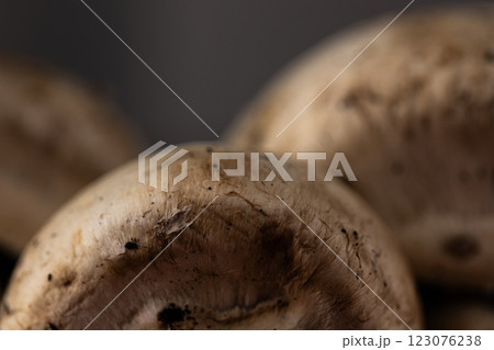Close-Up of Beautiful Mushrooms on a Dark Background Showcasing Their Unique Texture and Natural Colors for Culinary and Artistic Inspiration 123076238