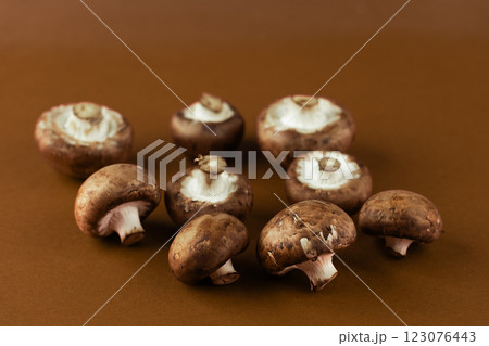 Fresh Gourmet Mushrooms Ready for Culinary Exploration: A Collection of Delicious Brown Varieties on a Rich Brown Background Fresh Gourmet Mushrooms Ready for Culinary Exploration: A Collection of Delicious Brown Varieties on a Rich Brown Background 123076443