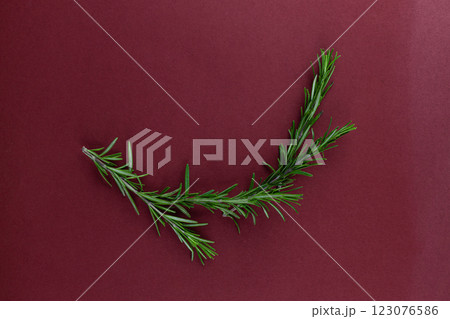Fresh Rosemary Herb Branch Arranged Elegantly Over a Maroon Backdrop, Perfect for Culinary and Decorative Inspirations 123076586