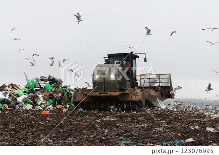 Machinery working on waste in landfill, refuse collection with bulldozer, a lots of birds Machinery working on waste in landfill, refuse collection with bulldozer, a lots of birds 123076995
