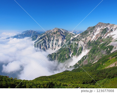夏の白馬三山 夏の白馬三山 123077008