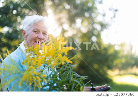 happy old senior woman sitting in a wheelchair and holding a bouquet of yellow wildflowers 123077366