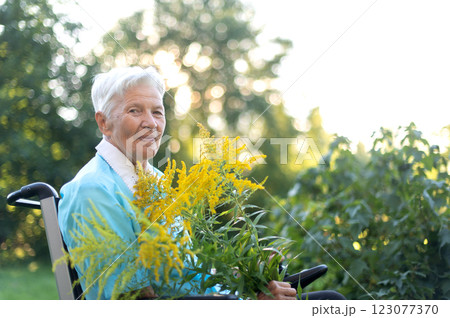 happy old senior woman sitting in a wheelchair and holding a bouquet of yellow wildflowers happy old senior woman sitting in a wheelchair and holding a bouquet of yellow wildflowers 123077370
