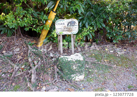 沖縄県　伊是名島　くだみ石 123077728