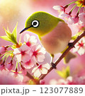 桜の蜜を吸うメジロ 123077889