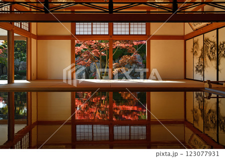 紅葉に彩られた寺院 紅葉に彩られた寺院 123077931