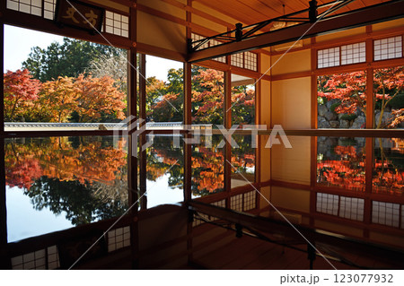 紅葉に彩られた寺院 紅葉に彩られた寺院 123077932