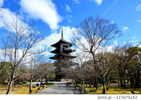 京都府　東寺・金堂（国宝） 京都市 南区 九条町　2022年2月 123078262