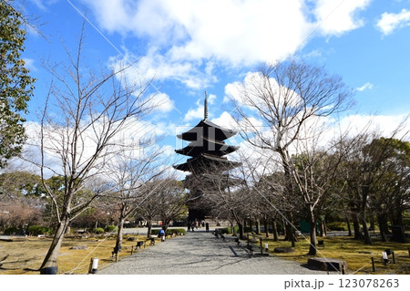 京都府 東寺・金堂(国宝) 京都市 南区 九条町 2022年2月 京都府 東寺・金堂(国宝) 京都市 南区 九条町 2022年2月 123078263