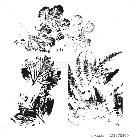 Eco print from leaves. Set with stamp leaves. Eco print from leaves. Set with stamp leaves. 123078300