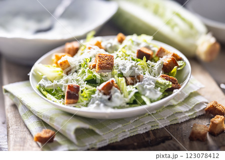 Healthy Caesar salad made with Romaine lettuce, croutons, tzatziki dressing and parmesan cheese. 123078412