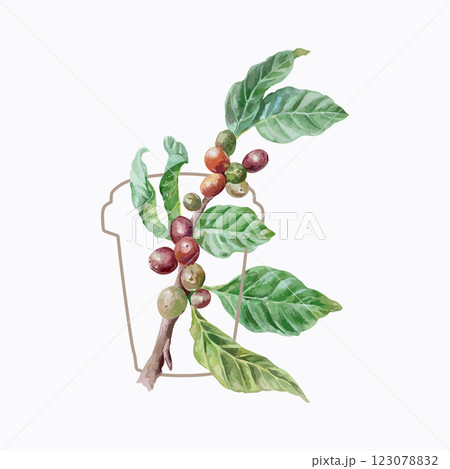 Coffee branch with berries and leaves, silhouette of paper cup for drink, watercolor. Hand drawn vector illustration. Labels, postcards, invitations, posters for cozy cafes, large banners for shops. Coffee branch with berries and leaves, silhouette of paper cup for drink, watercolor. Hand drawn vector illustration. Labels, postcards, invitations, posters for cozy cafes, large banners for shops. 123078832