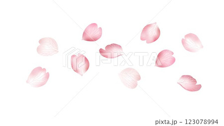 Flying pink sakura petals falling isolated on white background. Rose flower petals overlay. Realistic vector illustration. Valentine, love, spring. Wedding floral cherry blossom background banner 123078994