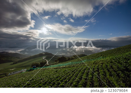 Anbandeok vegetable garden 123079084