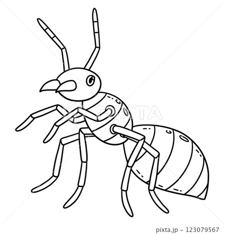 Insect Red Fire Ant Animal Isolated Coloring Page  123079567